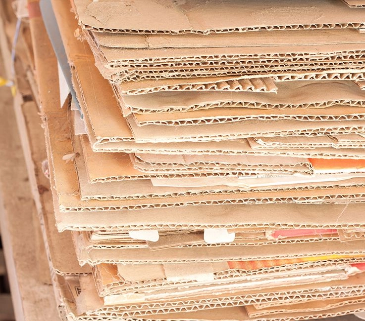 Carton Boxes Recycling Services