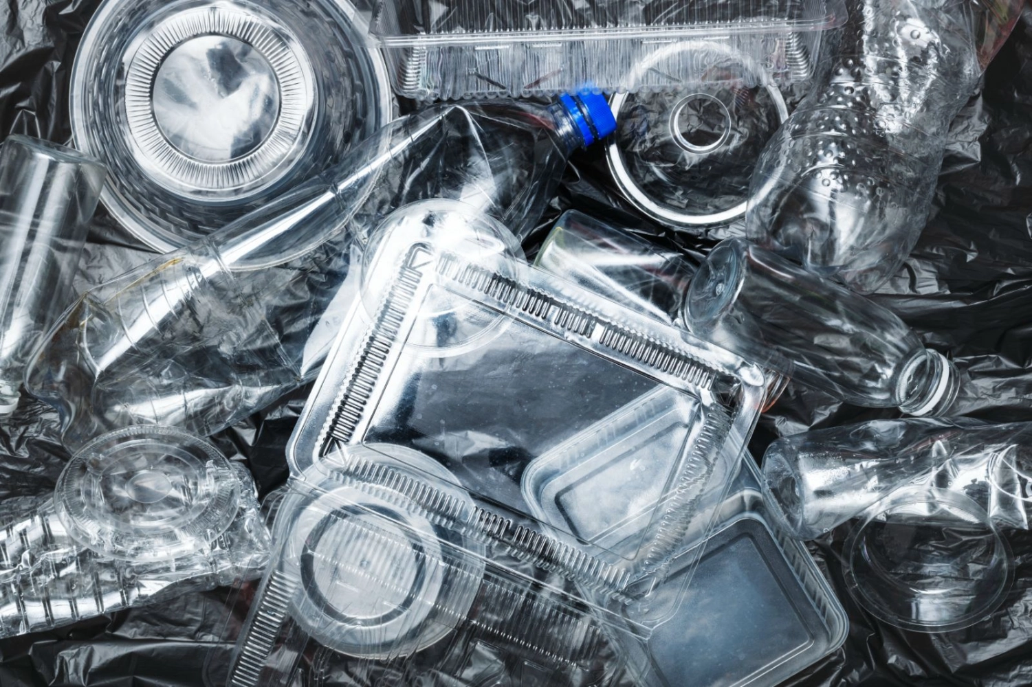 Scrap Bottles Recycling Services