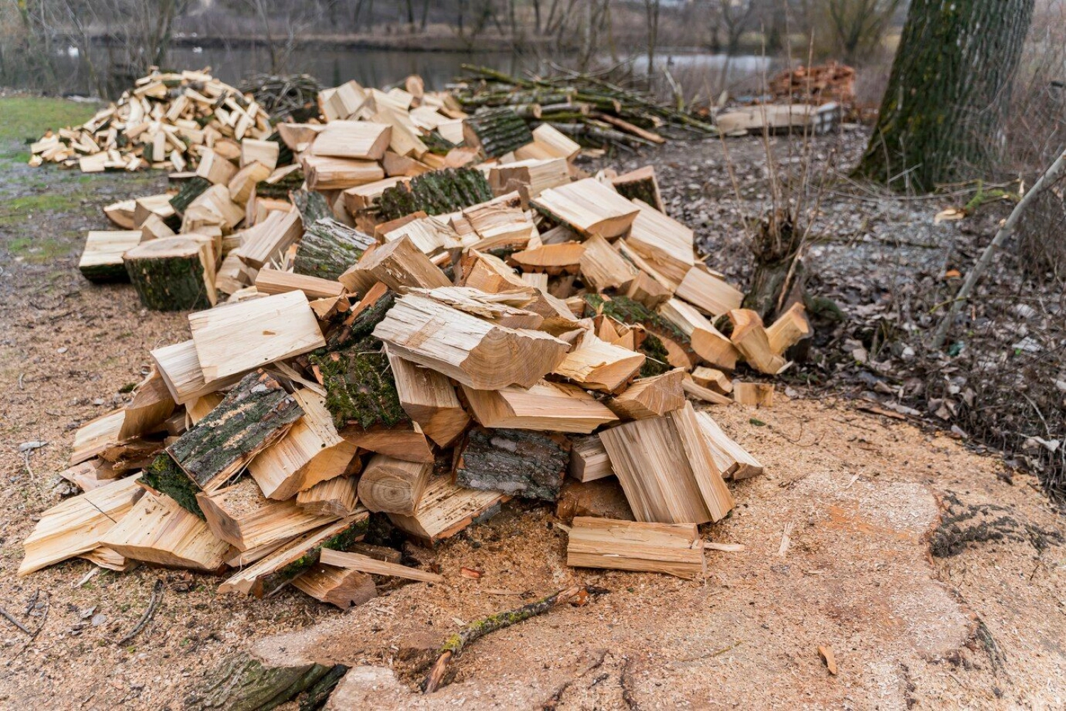 Construction Wood Waste Disposal