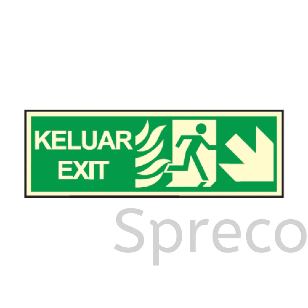 Emergency Exit Signal - EF 025SR