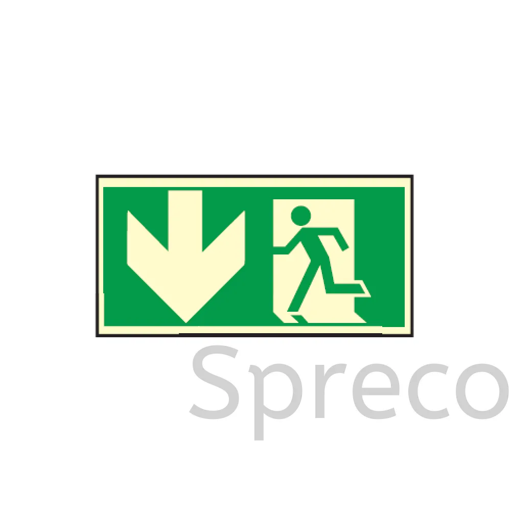 Emergency Exit Signal - EF 029SR